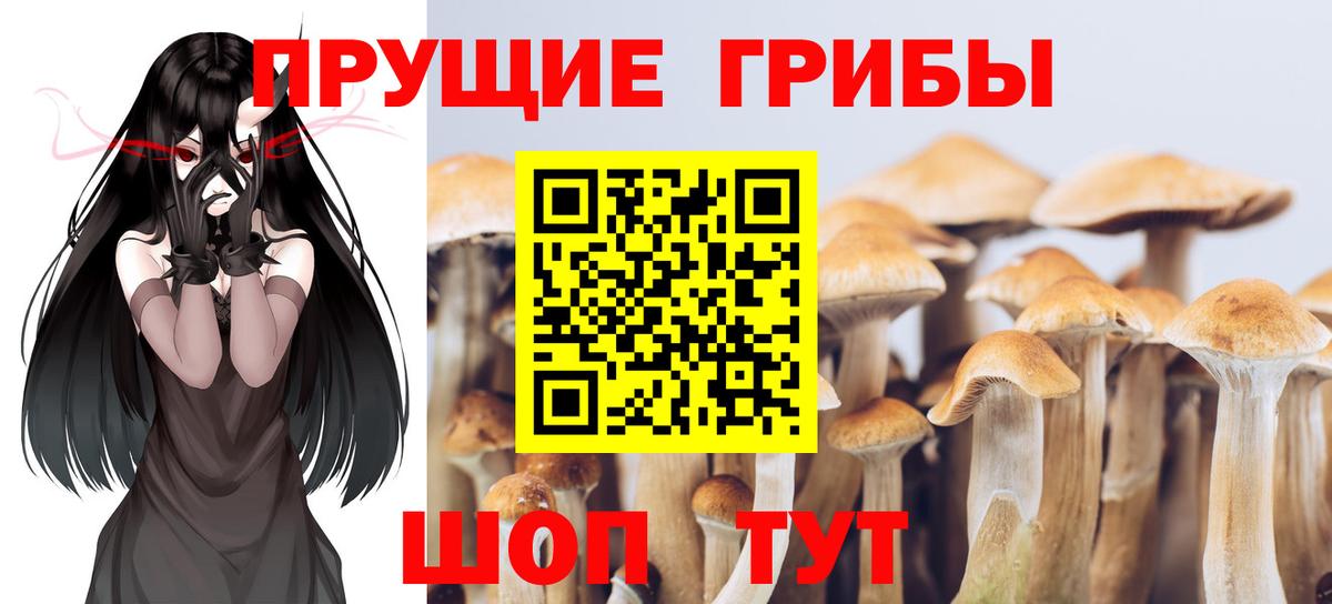 Псилоцибиновые грибы Psilocybine cubensis  Вход с VPN  где найти наркотики  Татарск 